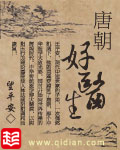 《初唐大地主》（校对版全本）作者：施兇 封面