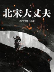 《北宋大丈夫》（校对版全本）作者：迪巴拉爵士 封面