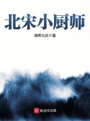 《北宋小厨师》（校对版全本）作者：南希北庆 封面