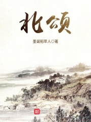 《北颂》（校对版全本）作者：圣诞稻草人 封面