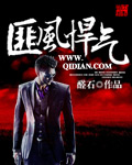 《匪风悍气》（校对版全本）作者：醛石 封面