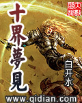 《十界梦见》（校对版全本）作者：白开水 封面