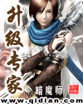 《升级专家》（校对版全本）作者：暗魔师 封面