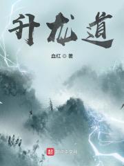 《升龙道》（校对版全本）作者：血红 封面