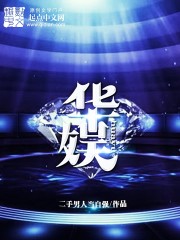 《华娱》（校对版全本）作者：二手男人当自强 封面