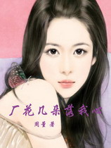 《厂花几朵落我心》（校对版全本）作者：周董 封面