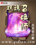 《双魂召唤师》（校对版全本）作者：云天空 封面