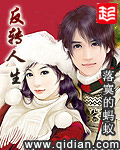 《反转人生》（校对版全本）作者：落寞的蚂蚁 封面