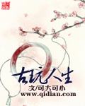 《古玩人生》（校对版全本）作者：可大可小 封面