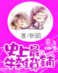 《史上最牛杂货铺》（校对版全本）作者：新驷 封面