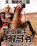 《史上最牛驸马爷》（校对版全本）作者：黑椒炒三国 封面