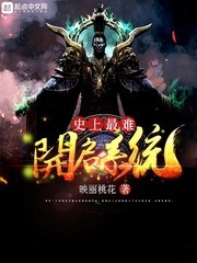 《史上最难开启系统》（校对版全本）作者：映丽桃花 封面
