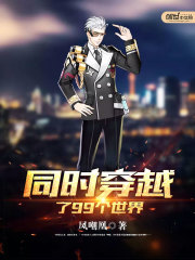 《同时穿越了99个世界》（校对版全本）作者：凤嘲凰 封面