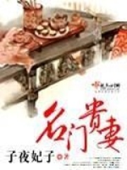 《名门贵妻》（校对版全本+番外）作者：子夜妃子 封面