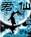 《君仙》（校对版全本）作者：风起闲云 封面