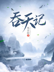 《吞天记》（校对版全本）作者：风青阳 封面