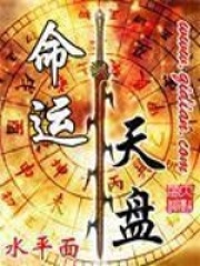 《命运天盘》（校对版全本）作者：水平面 封面