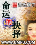 《命运的抉择》（校对版全本）作者：黑色柳丁 封面
