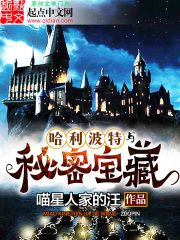 《哈利波特与秘密宝藏》（校对版全本）作者：喵星人家的汪 封面