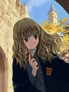 《哈利的魔法世界》（校对版全本）作者：葉飄零 封面