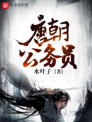 《唐朝公务员》（校对版全本）作者：水叶子 封面