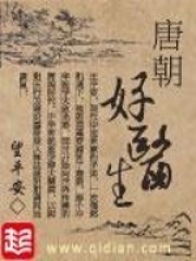 《唐朝好医生》（校对版全本）作者：望平安 封面