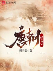 《唐朝好岳父》（校对版全本）作者：断雪落 封面