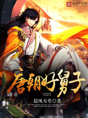 《唐朝好舅子》（校对版全本）作者：晨风天堂 封面