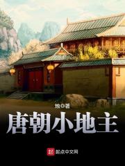《唐朝小地主》（校对版全本）作者：烛 封面