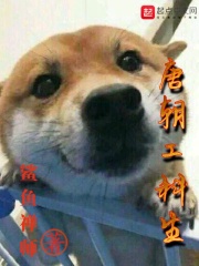 《唐朝工科生》（校对版全本）作者：鲨鱼禅师 封面