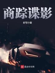 《商踪谍影》（校对版全本）作者：虾写 封面