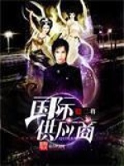 《国际供应商》（校对版全本）作者：二将 封面