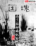 《国魂》（校对版全本）作者：西方蜘蛛 封面