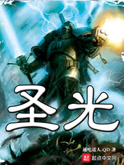 《圣光》（校对版全本）作者：通吃道人 封面