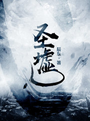 《圣墟》（校对版全本+番外）作者：辰东 封面