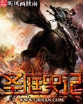 《圣庭史记》（校对版全本）作者：听风画秋雨 封面
