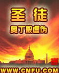 《圣徒》（校对版全本）作者：奥丁般虚伪 封面