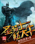 《圣骑士赵大牛》（校对版全本）作者：夜色访者 封面