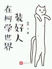 《在柯学世界装好人》（校对版全本）作者：仙舟 封面