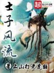 《士子风流》（校对版全本）作者：上山打老虎额 封面