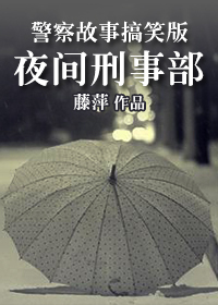 《夜间刑事部》（校对版全本）作者：藤萍 封面