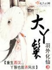 《大丫鬟》（校对版全本）作者：羽外化仙 封面