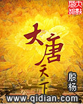 《大唐天下》（校对版全本）作者：殷扬 封面