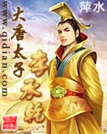 《大唐太子李承乾》（校对版全本）作者：萍水 封面
