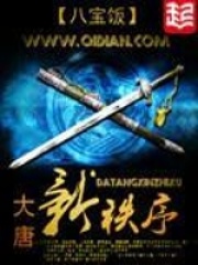 《大唐新秩序》（校对版全本）作者：八宝饭 封面