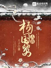 《大唐杨国舅》（校对版全本）作者：天子 封面