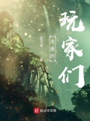 《大唐的玩家们》（校对版全本）作者：金寻者 封面