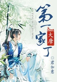 《大唐第一家丁》（校对版全本）作者：君如意 封面