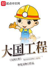 《大国工程》（校对版全本）作者：和光万物 封面