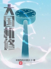 《大国机修》（校对版全本）作者：半部西风半部沙 封面